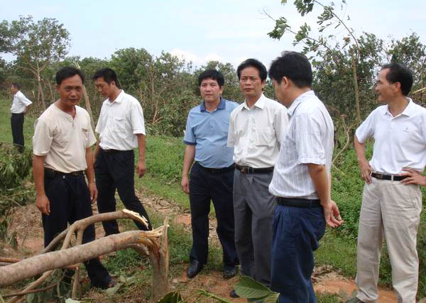 “两院”专家调研组到茂名垦区调研指导抗灾工作(图1)