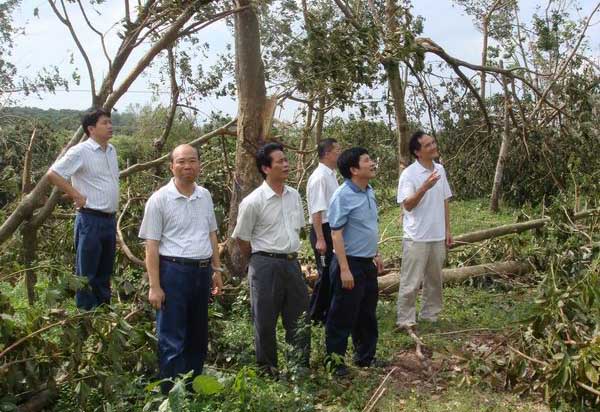 “两院”专家调研组到茂名垦区调研指导抗灾工作(图2)