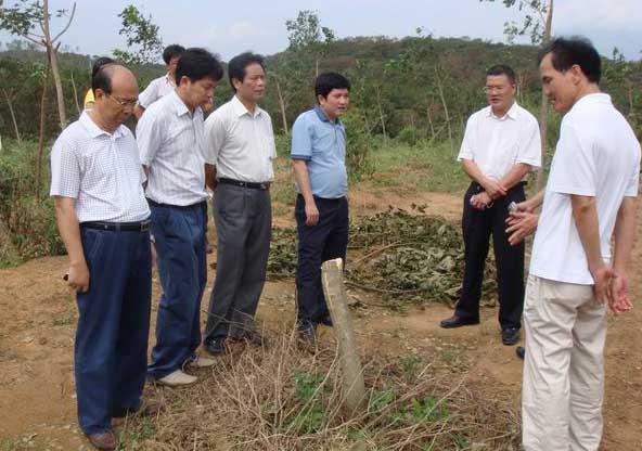 “两院”专家调研组到茂名垦区调研指导抗灾工作(图4)