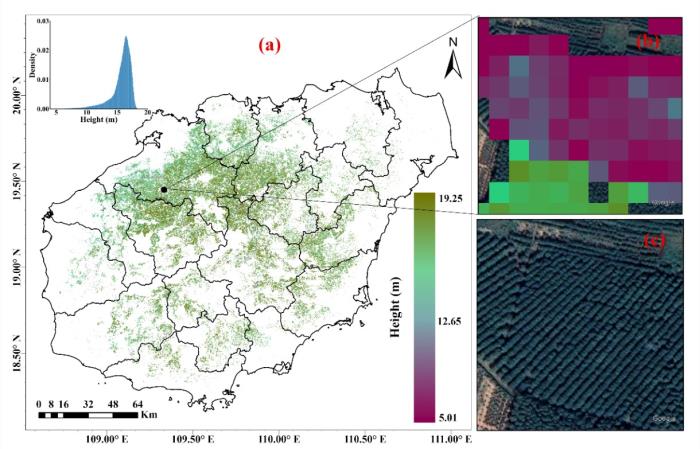 中国热科院橡胶所在橡胶林冠层高度遥感估算方面取得重要进展(图3)