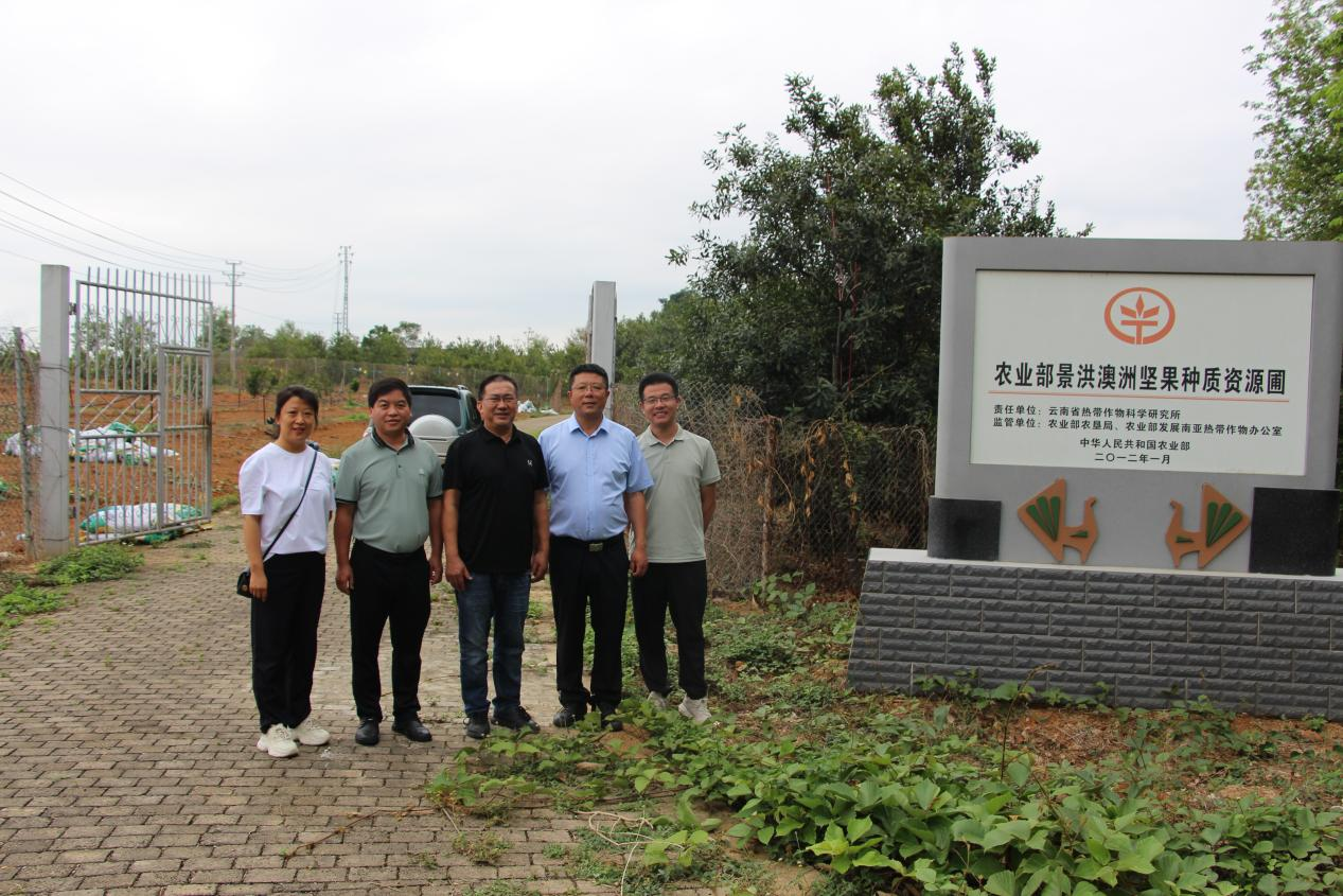 云南省农业科学院蚕桑蜜蜂研究所党委副书记耿玲德一行到云南省热作所调研交流(图5)